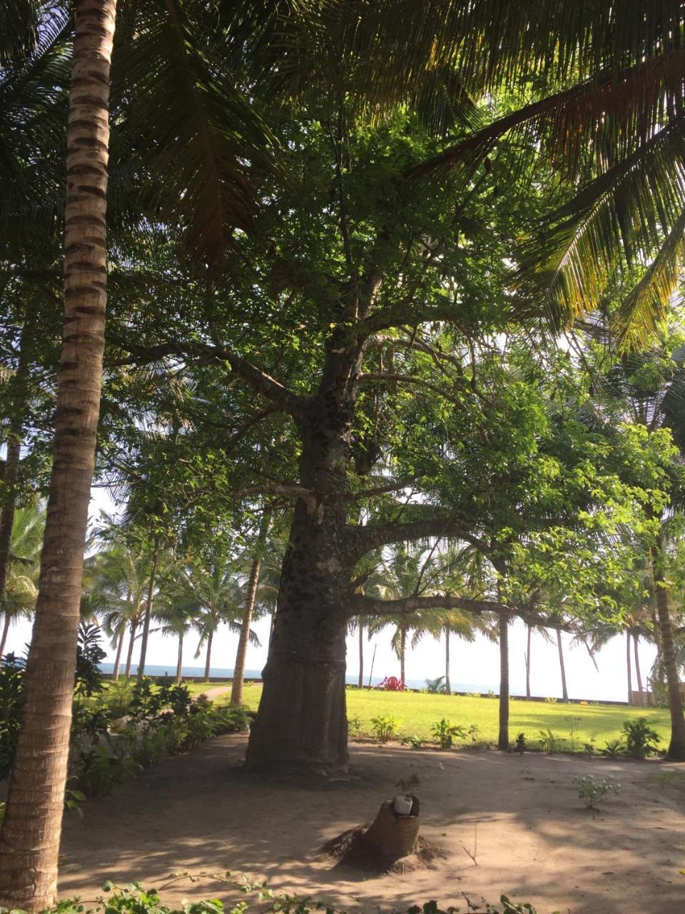 Oceanic Bay Hotel & Resort Bagamoyo Luaran gambar